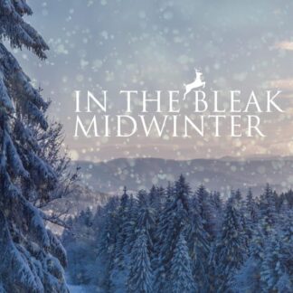 In the Bleak Midwinter